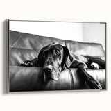 Framed canvas wall art showcasing a vibrant design of wild dogs in a natural setting, with a sleek silver frame, perfect for animal lovers and home decor enthusiasts.