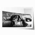 Colorful wall art print featuring a playful design of dogs in various poses, showcasing their unique characteristics and expressions, perfect for animal lovers' decor.