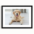 Framed wall art collection showcasing a striking design of wild dogs, featuring a sleek black frame and mat, perfect for enhancing any interior space.