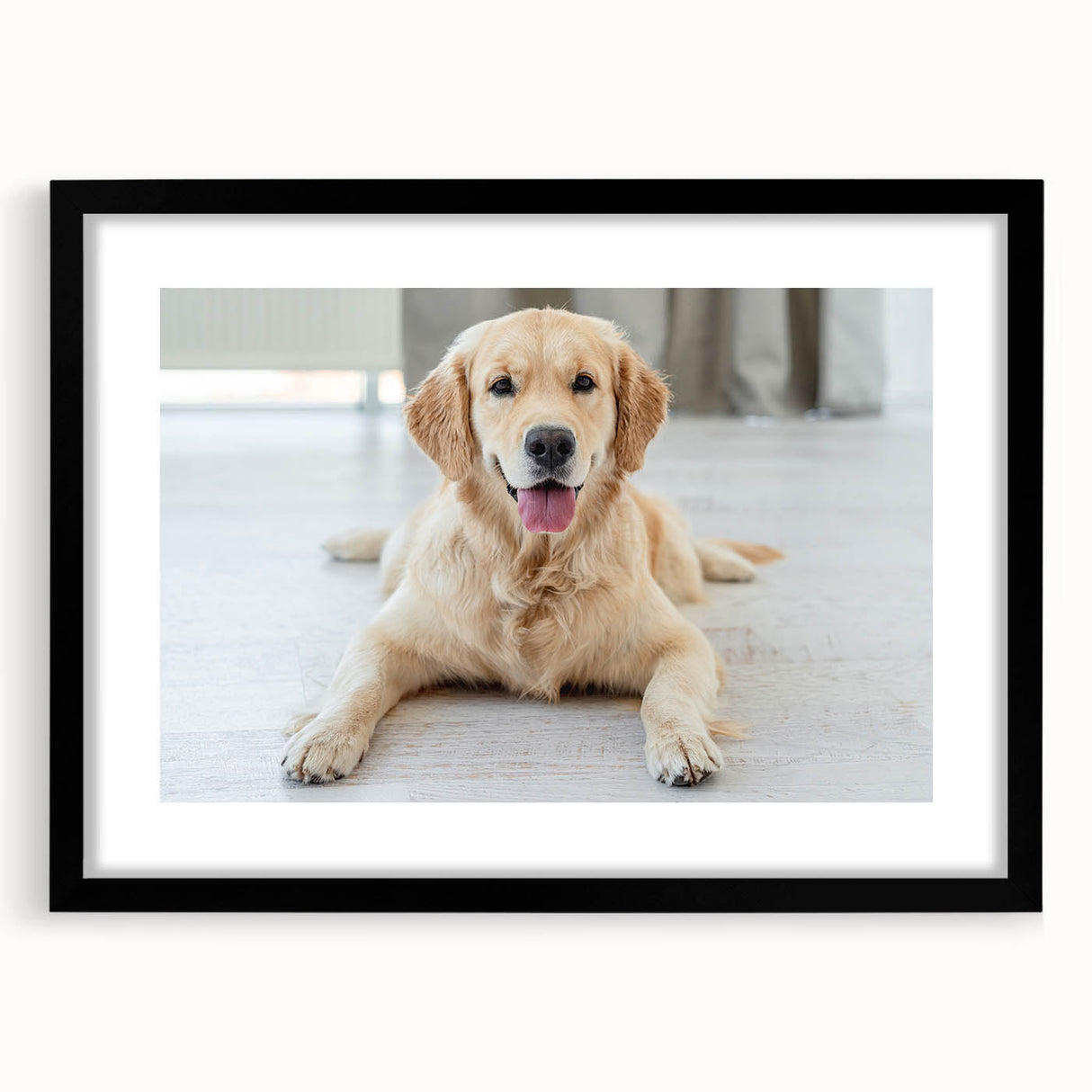 Framed wall art collection showcasing a striking design of wild dogs, featuring a sleek black frame and mat, perfect for enhancing any interior space.
