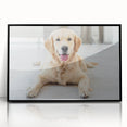 Framed wall art collection featuring four vibrant dog illustrations in a black acrylic frame, showcasing a playful and artistic interpretation of wildlife themes.