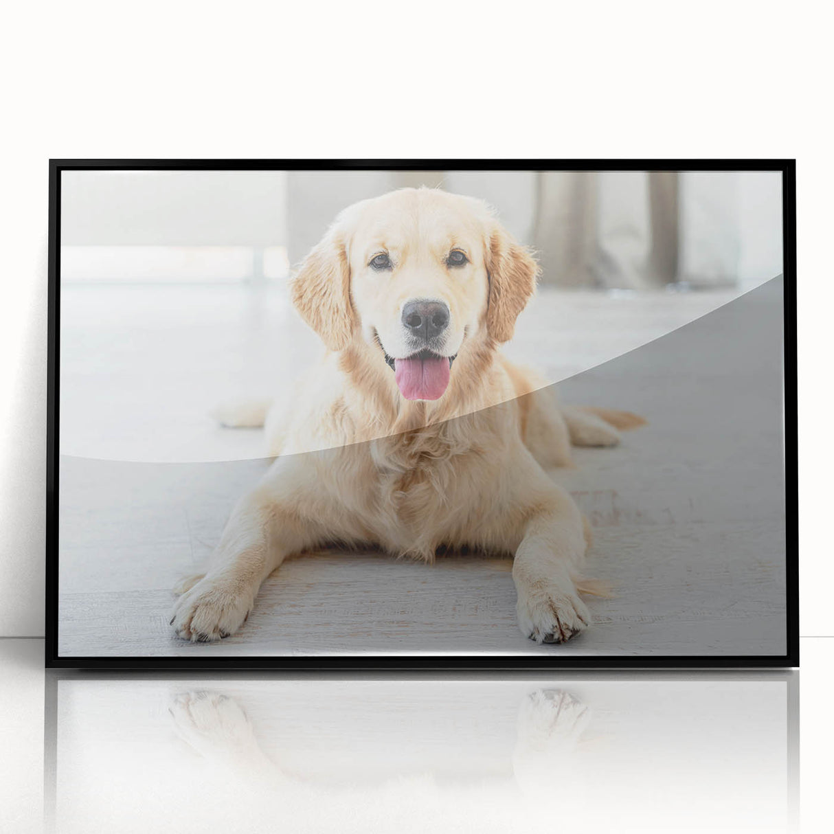Framed wall art collection featuring four vibrant dog illustrations in a black acrylic frame, showcasing a playful and artistic interpretation of wildlife themes.