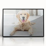 Framed wall art collection featuring four vibrant dog illustrations in a black acrylic frame, showcasing a playful and artistic interpretation of wildlife themes.