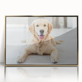 Framed wall art featuring a vibrant dog design in gold acrylic, showcasing a wild animal theme. Perfect for animal lovers, this decorative piece enhances any space.