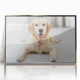 Framed wall art collection showcasing a vibrant dog design with a silver acrylic front, perfect for animal lovers and modern home decor. The artwork features playful colors and detailed illustrations, ideal for enhancing any living space.
