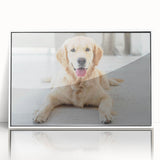 Framed acrylic wall art showcasing a vibrant design of wild dogs in a natural setting, featuring a sleek white frame for modern decor. Perfect for animal lovers.