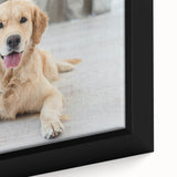 Close-up of a framed canvas wall art featuring a realistic dog design, showcasing intricate details and vibrant colors, perfect for animal lovers and home decor.