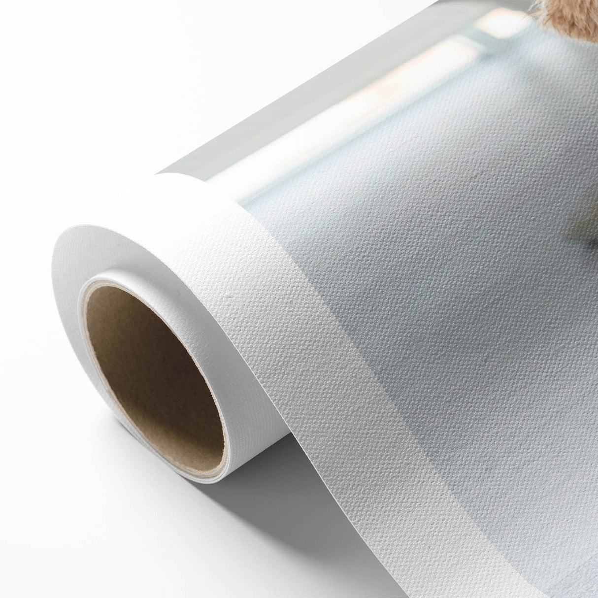 Rolled canvas featuring a vibrant and artistic representation of various dog breeds, showcasing their unique traits and colors, perfect for animal lovers' home decor.