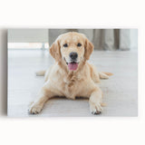 Stretched canvas wall art featuring a vibrant dog design, showcasing playful canine illustrations in various colors, perfect for animal lovers' decor.