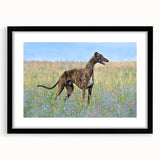 Framed wall art collection depicting various dog breeds in a wild setting, featuring a sleek black frame and mat, perfect for animal lovers and home decor.
