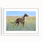 Framed wall art collection showcasing a vibrant design of various dog breeds, featuring a white mat and sleek frame, perfect for animal lovers and home decor.