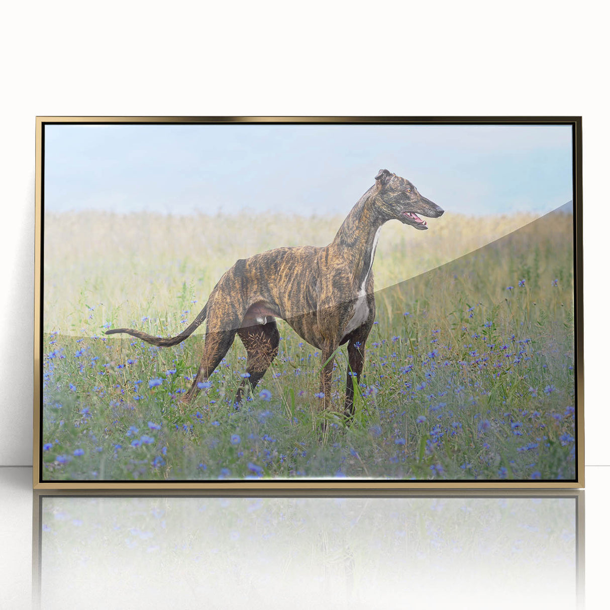 Framed wall art collection featuring a vibrant design of various dog breeds in a playful arrangement, set in a gold-accented frame against a neutral background.