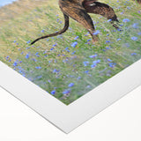 Vibrant rolled canvas featuring a collection of artistic dog illustrations, showcasing various breeds in a colorful and playful design, perfect for pet lovers' decor.