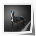 Vibrant wall art collection showcasing six unique dog designs, featuring glossy finishes that enhance the colorful illustrations, perfect for animal lovers' decor.