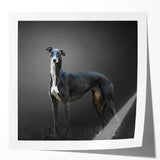 Vibrant wall art collection showcasing six unique dog designs, featuring glossy finishes that enhance the colorful illustrations, perfect for animal lovers' decor.