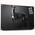 Acrylic wall art collection showcasing a vibrant design of various dog breeds in a side view, mounted with pins for display, featuring bright colors and intricate details.