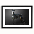 Framed wall art collection featuring vibrant dog designs in a black mat showcase, perfect for animal lovers, enhancing home decor with playful charm.