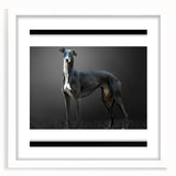 Wall art collection featuring a vibrant dogs design in a white frame with a mat, showcasing playful dog illustrations that add a whimsical touch to home decor. Perfect for animal lovers and modern interiors.