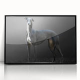 Framed wall art collection featuring a vibrant dog design on a black background, showcasing the playful nature of canines in an acrylic format, ideal for animal lovers.
