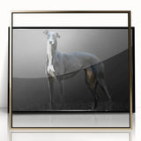 Framed wall art collection showcasing a vibrant dog design, featuring acrylic glass with a gold frame, perfect for animal lovers and modern decor.