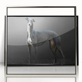 Framed acrylic wall art featuring a contemporary dog design with a silver frame, showcasing vibrant colors and intricate details, ideal for animal lovers' decor.