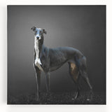 Stretched canvas wall art featuring a vibrant collection of wild dog designs, showcasing realistic fur textures and expressive poses, perfect for animal lovers' decor.
