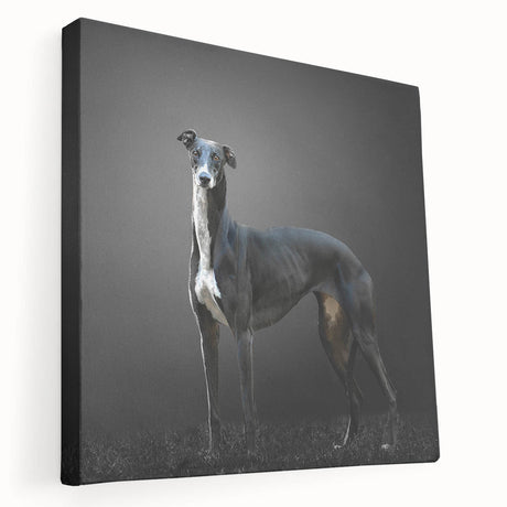 Stretched canvas wall art collection featuring a side view of playful dogs in a vibrant, colorful design, ideal for animal lovers and home decor enthusiasts.