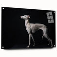 Acrylic wall art featuring a vibrant dog design from the Animals A Wild Life collection, showcased in a side view with decorative pins and a sleek finish. Ideal for animal lovers and home decor enthusiasts.