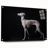Acrylic wall art featuring a vibrant dog design from the Animals A Wild Life collection, showcased in a side view with decorative pins and a sleek finish. Ideal for animal lovers and home decor enthusiasts.