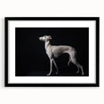 Framed wall art collection featuring a striking dog design in a black frame with a mat, showcasing vibrant colors and intricate details, perfect for animal lovers.