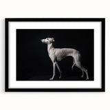 Framed wall art collection featuring a striking dog design in a black frame with a mat, showcasing vibrant colors and intricate details, perfect for animal lovers.