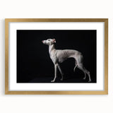 Wall art collection featuring a gold-framed design of various dog breeds, elegantly matted, showcasing vibrant colors and intricate details, perfect for animal lovers.