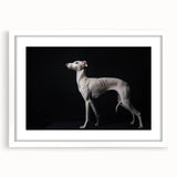 Framed wall art featuring a vibrant design of various dog breeds, showcased in a white matting and frame, perfect for pet lovers' home decor.