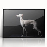 Framed acrylic wall art featuring a vibrant design of wild dogs, set against a sleek black frame, perfect for adding a modern touch to home decor.
