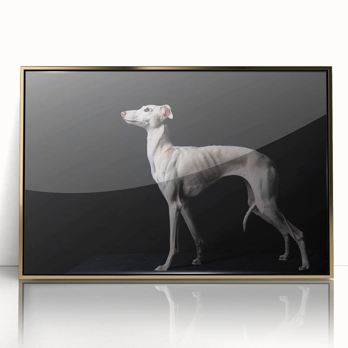 Framed wall art featuring a striking design of wild dogs in a gold-accented acrylic frame, perfect for adding a vibrant touch to any room decor.