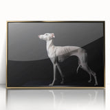 Framed wall art featuring a striking design of wild dogs in a gold-accented acrylic frame, perfect for adding a vibrant touch to any room decor.