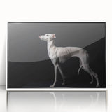 Framed wall art featuring a vibrant dog design from the "Animals: A Wild Life" collection, showcasing playful colors and intricate details in a sleek white frame.