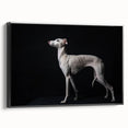 Framed canvas wall art showcasing a vibrant dog design from the 'Animals A Wild Life' collection, featuring a sleek black frame and side view display. Ideal for pet lovers and modern decor.