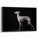 Framed canvas wall art showcasing a vibrant dog design from the 'Animals A Wild Life' collection, featuring a sleek black frame and side view display. Ideal for pet lovers and modern decor.