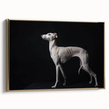 Framed wall art collection showcasing a vibrant dog design against a gold backdrop, perfect for animal lovers and home decor enthusiasts.