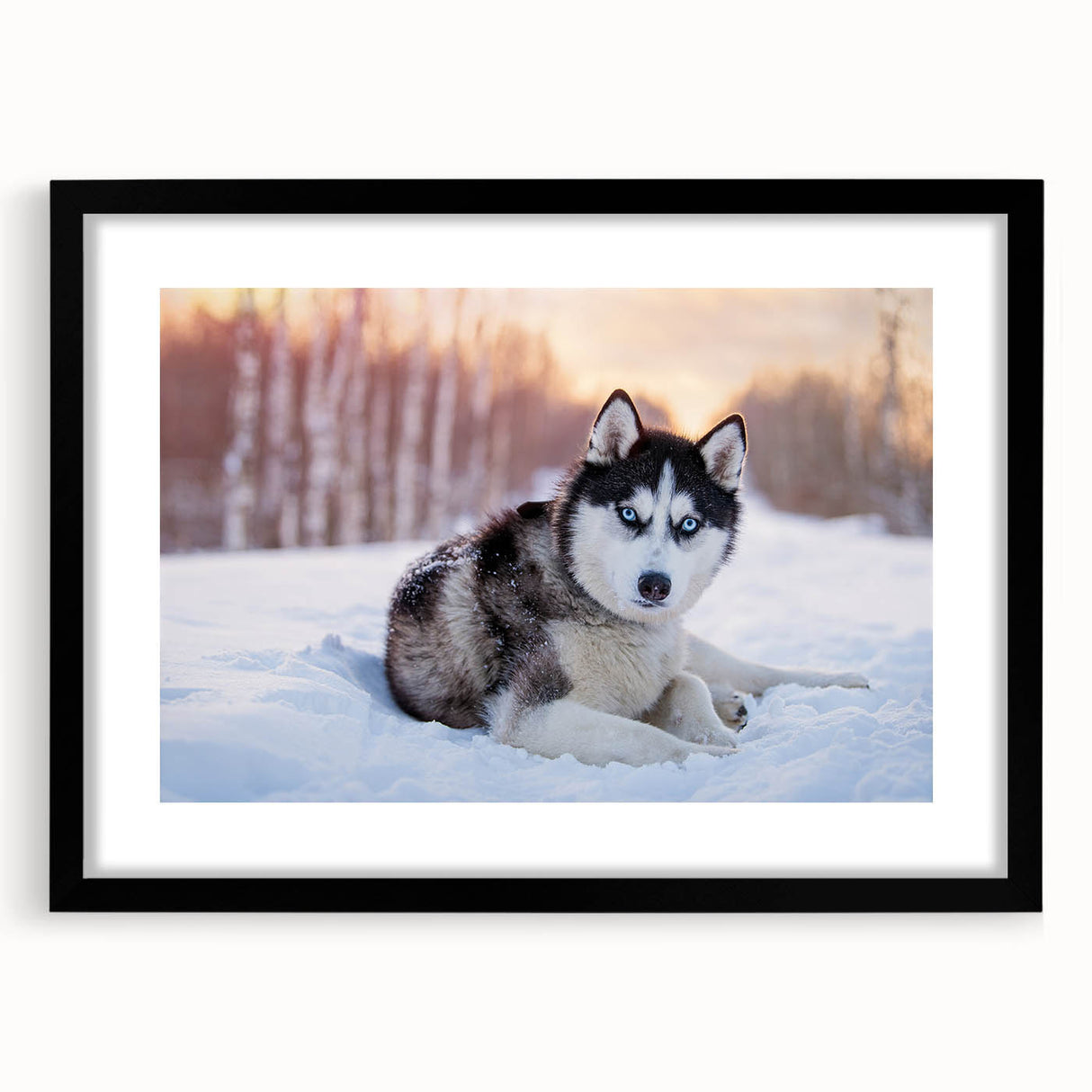 Framed wall art collection featuring eight unique dog designs, showcasing vibrant colors and intricate details on a black matte background, ideal for animal lovers.