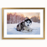 Framed wall art collection showcasing a vibrant dog design set against a gold mat. The artwork features playful dogs in various poses, enhancing any room's decor.