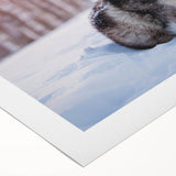 Rolled canvas artwork showcasing a vibrant collection of wild dog designs, featuring detailed illustrations and rich colors, perfect for animal lovers’ decor.