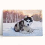 Stretched canvas wall art featuring a vibrant collection of wild dogs, showcasing intricate details and rich colors, perfect for animal lovers and home decor enthusiasts.