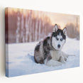 Stretched canvas wall art featuring a vibrant dog design with playful colors, showcasing a side view perspective. Perfect for animal lovers and home decor.