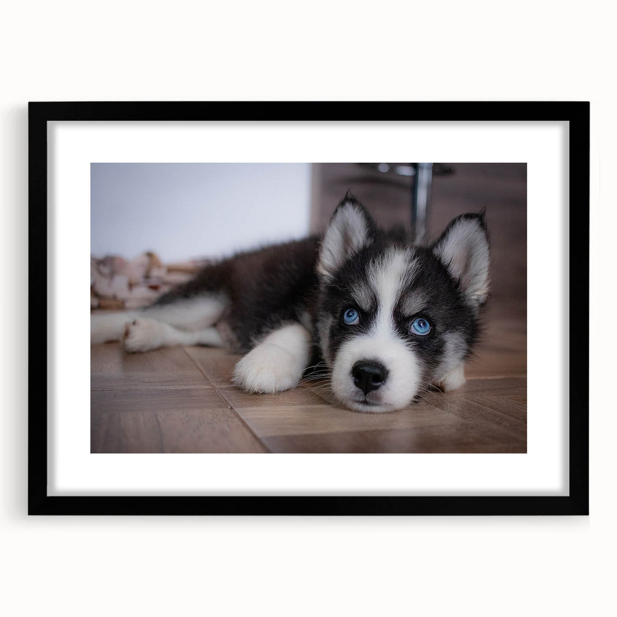 Framed wall art featuring a vibrant dog design from the Animals A Wild Life collection, presented in a sleek black frame with a white mat, ideal for pet lovers' home decor.