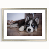 Framed wall art collection showcasing a silver mat and front view of playful dog illustrations, perfect for animal lovers and home decor enthusiasts.