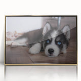 Framed wall art featuring a vibrant design of dogs, set in an elegant gold frame, showcasing playful canines against a colorful background, perfect for animal lovers.