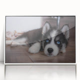 Framed wall art featuring a vibrant collection of dog illustrations in various poses, set against a clean white background, perfect for pet lovers' decor.