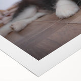 Colorful rolled canvas artwork showcasing a vibrant collection of dog designs, ideal for animal lovers and home decor enthusiasts, beautifully packaged for protection.